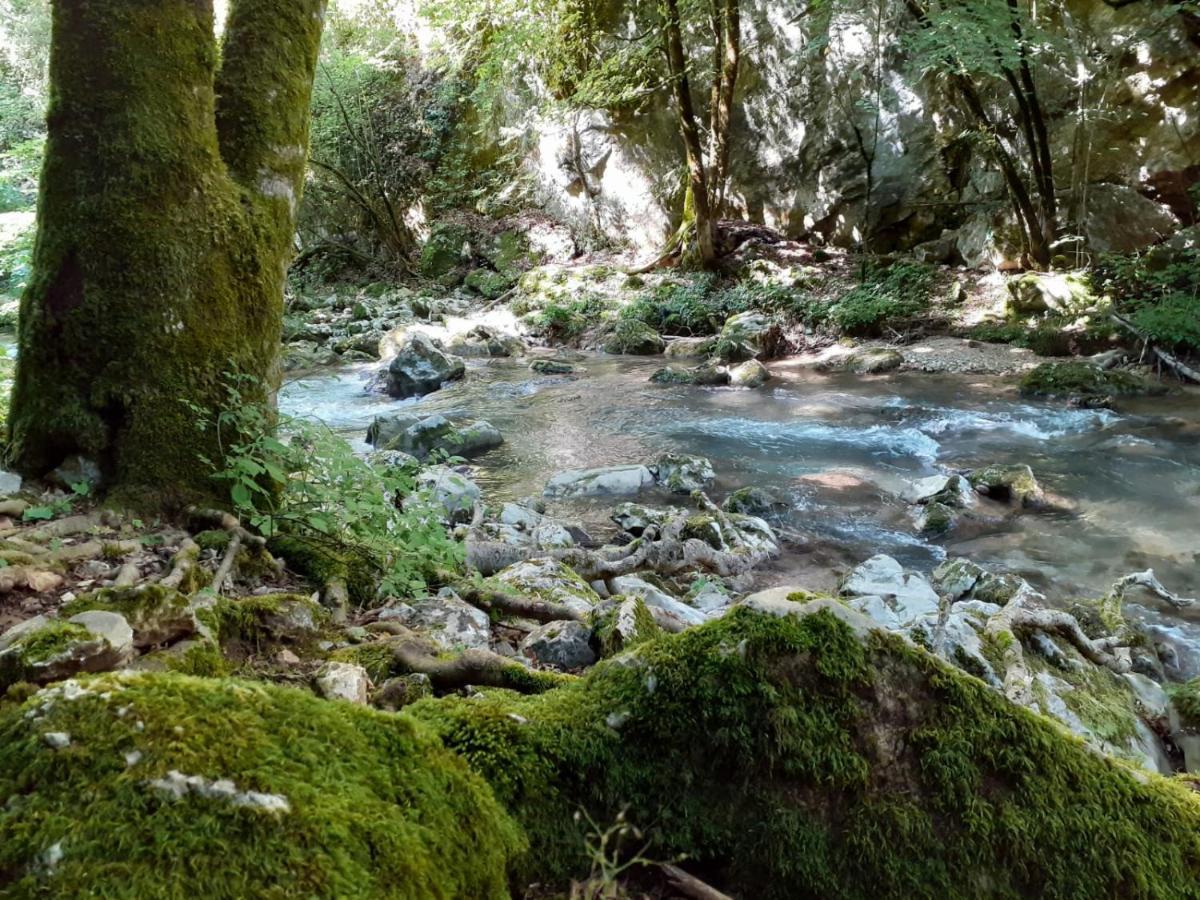 Casetta Nel Borgo Olevano Romano Dış mekan fotoğraf