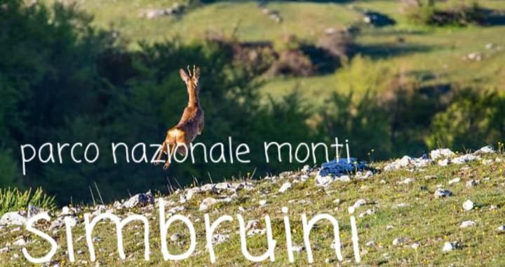 Casetta Nel Borgo Olevano Romano Dış mekan fotoğraf