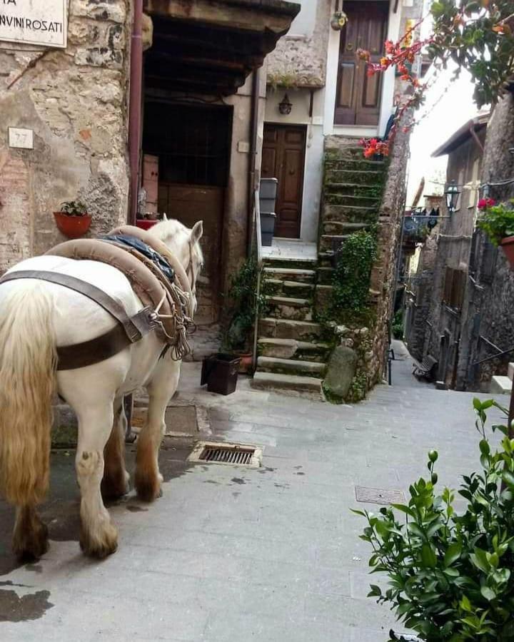Casetta Nel Borgo Olevano Romano Dış mekan fotoğraf