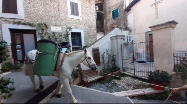 Casetta Nel Borgo Olevano Romano Dış mekan fotoğraf