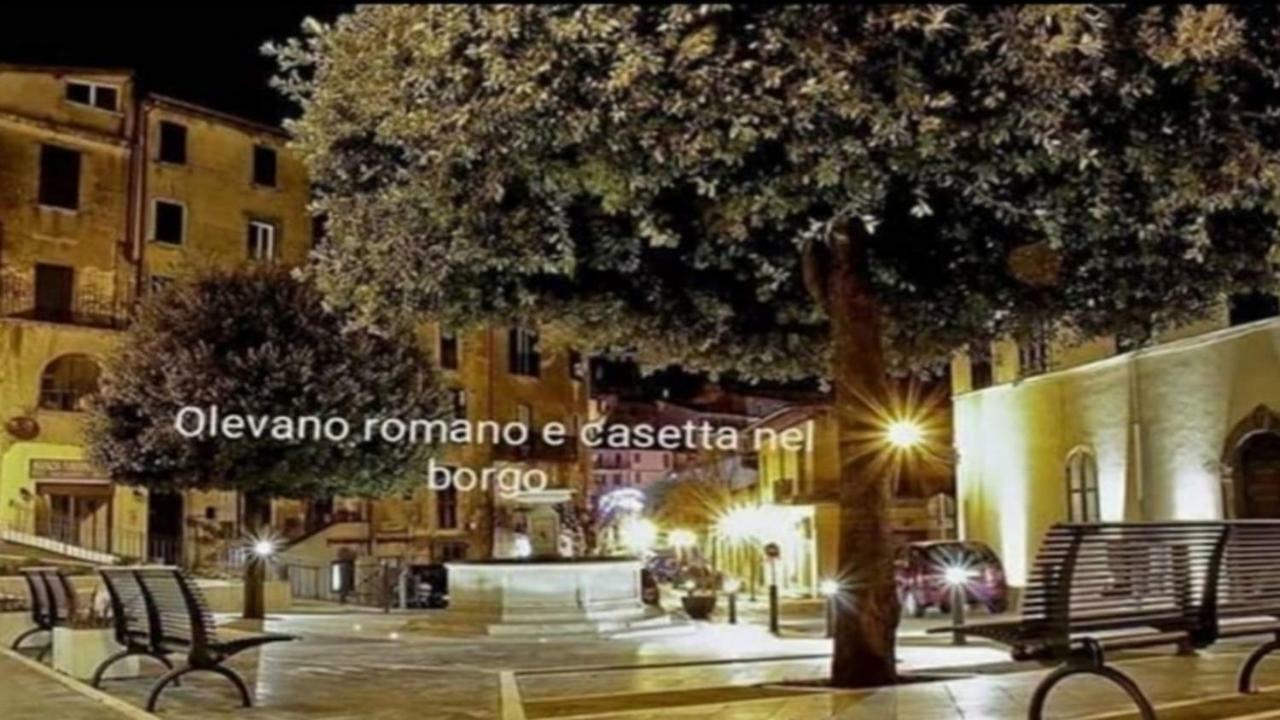 Casetta Nel Borgo Olevano Romano Dış mekan fotoğraf